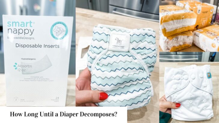 How Long Does It Take for a Diaper to Decompose?