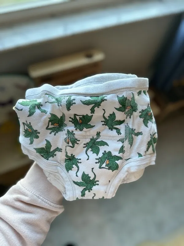 training underwear for kids